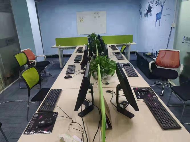 南平市延平区泓尚网络科技 匠心赋能信息系统集成服务，驱动数字化转型新引擎